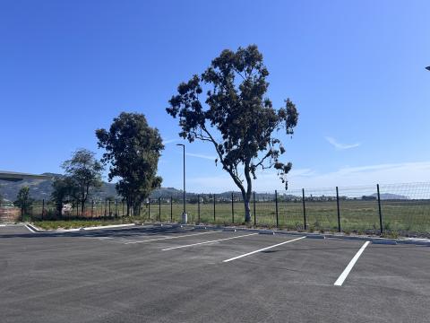 Striped parking lot overlooking a marsh with trees in the view. 